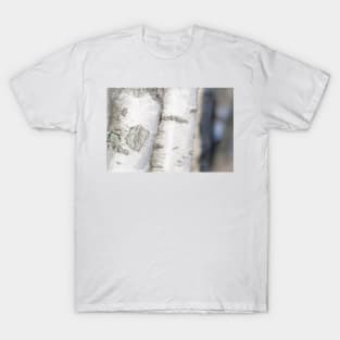 Birch T-Shirt